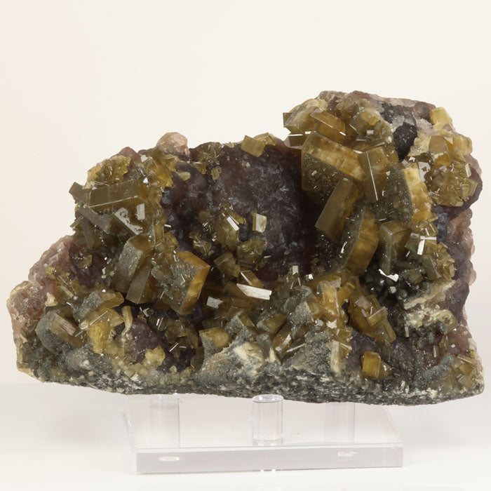 Golden barite crystals on purple fluorite matrix from Xie Fang China