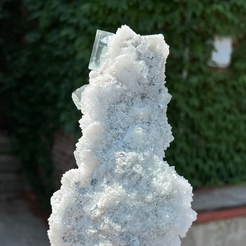 1.2kilo Minty Green Fluorite on White Quartz
