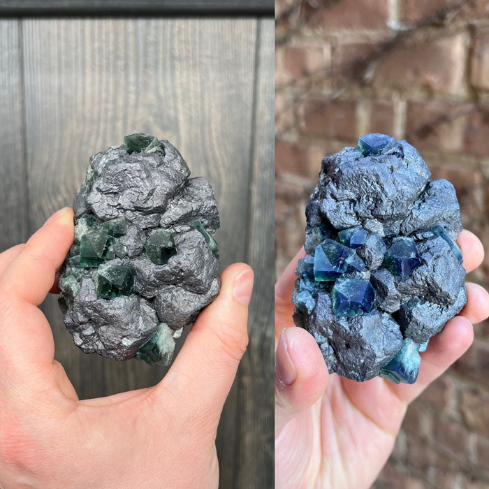 galena crystals with fluorite greedy hog pocket