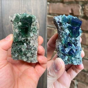 Fluorescent Fluorite Daylight