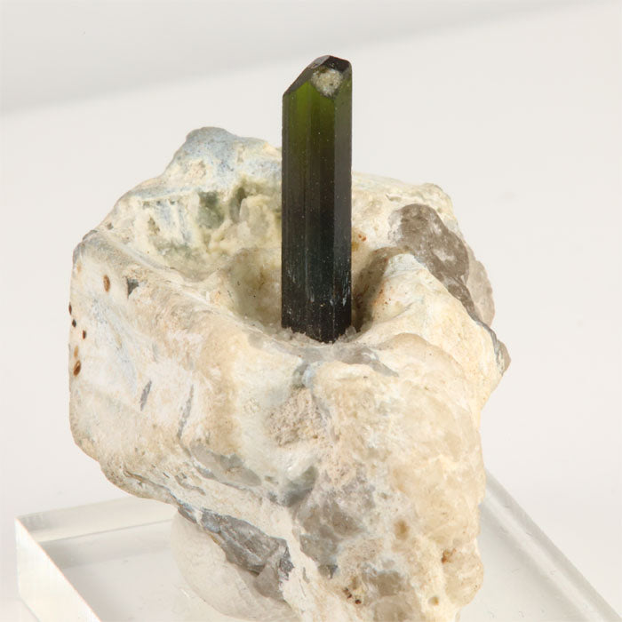 Front view of a single terminated green tourmaline crystal surrounded by thick white matrix from Kunar, Afghanistan.