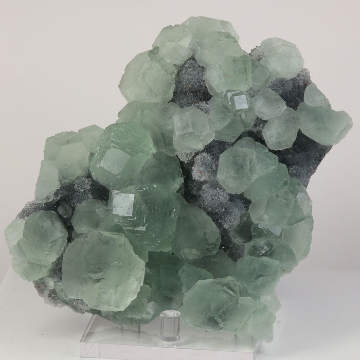 Large fluorite display specimen with quartz crystals