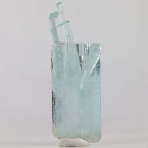 Reverse view of Pakistani aquamarine showing transparent hexagonal faces and a distinctive branching crystal formation.