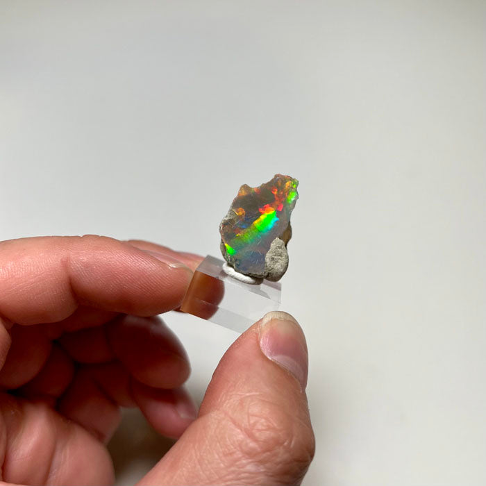Ethiopian hydrophane opal rough with vivid red and green play-of-color