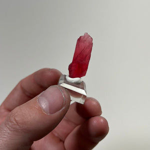 vivid rhodonite display piece natural brazil mineral specimen
