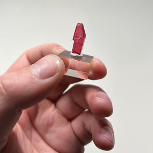 Vibrant rhodonite crystal showing strong pink color and smooth surface
