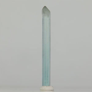 Afghan Tourmaline crystal displaying excellent clarity