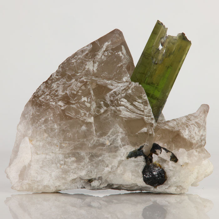 Olive-green tourmaline with an etched termination growing between smoky quartz crystals from Mavi Pegmatite, Afghanistan.
