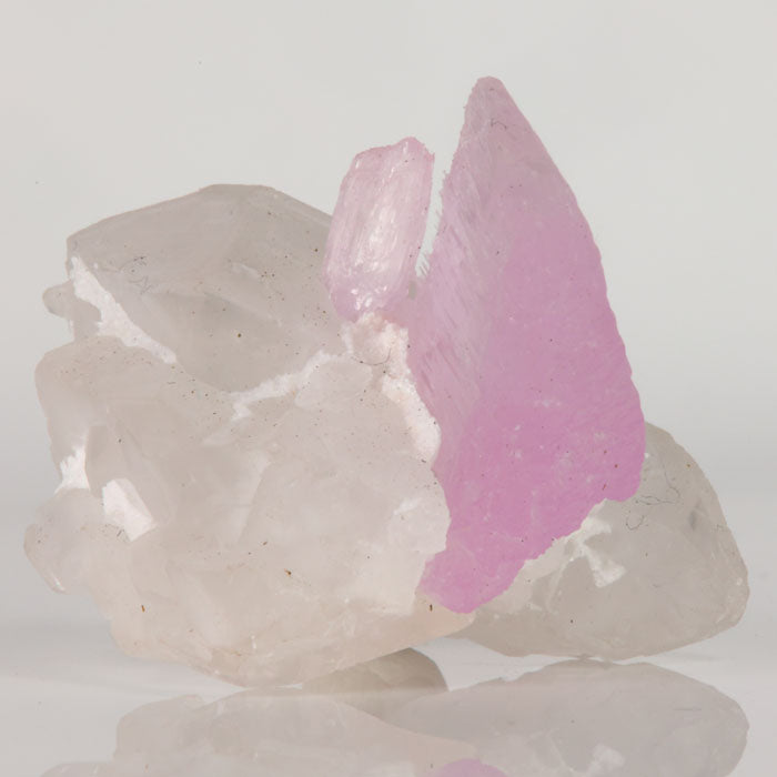 Pink Kunzite crystal blades growing on milky white Quartz from Mavi Pegmatite, Afghanistan.