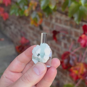 Aquamarine Crystal with White Feldspar Matrix from Shigar Mine Pakistan 14.66 Grams