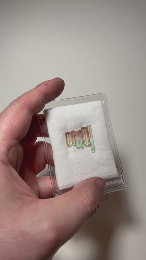 six tourmaline crystals with mixed sizes and soft color zoning