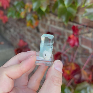 Aquamarine Crystal from Shigar Mine Pakistan 13.63 Grams