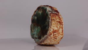 Natural petrified wood specimen with green color