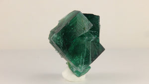 Natural daylight fluorescent Rogerley Mine fluorite from England with complex geometric crystal growth and blue-green fluorescent characteristics.