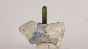 Natural tourmaline thumbnail specimen featuring a slender green crystal standing vertically above a light-colored mineral base.