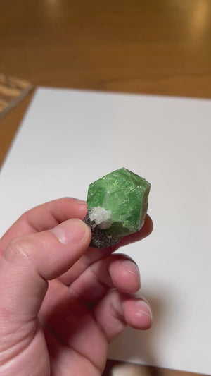 Green garnet crystal on dark matrix Mererani Tanzania mineral specimen