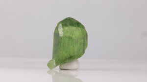 34.35ct Glassy Peridot Crystal with Fine Ludwigite Needles