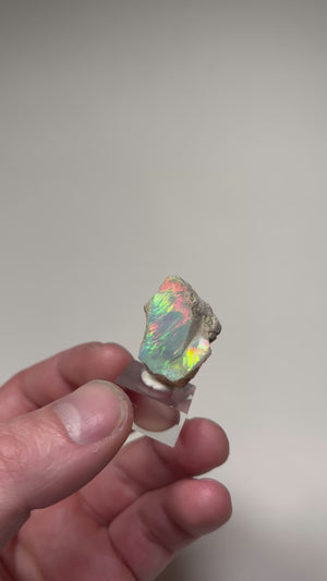 hydrophane Ethiopian opal with vivid color flashes