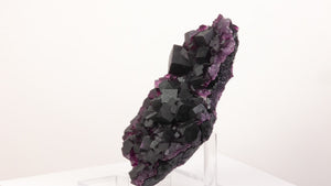 natural purple fluorite mineral specimen with densely packed cubic growth