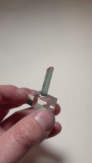Lipstick Tourmaline Crystal Brazil