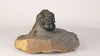crotalocephalus trilobite collector fossil