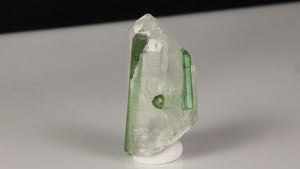 Tourmaline crystal growth preserved inside Quartz host stone