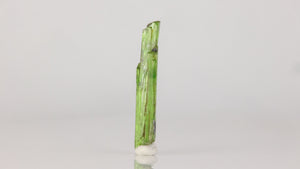 slender green tremolite crystal collector specimen natural mineral