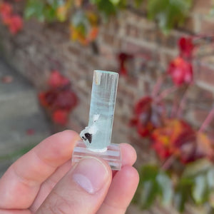 Double Terminated Aquamarine Crystal from Shigar Mine Pakistan 10.68 Grams