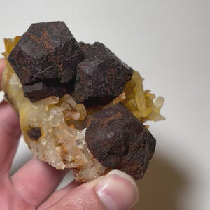 Quartz matrix featuring several large pyrite crystal forms