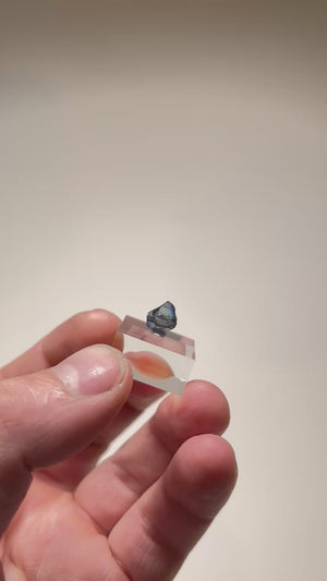 Natural tanzanite crystal showing directional growth and color variation