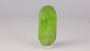 Vibrant green diopside mineral specimen gemmy