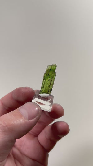 translucent green tremolite thumbnail crystal mineral specimen
