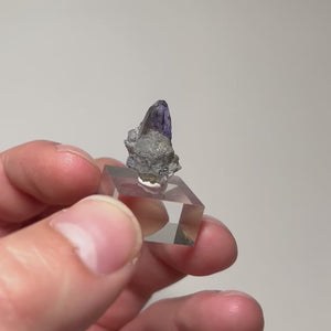 Untreated Tanzanite crystal with sharp termination
