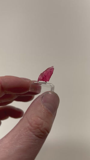 small rhodonite crystal specimen bright pink natural mineral display