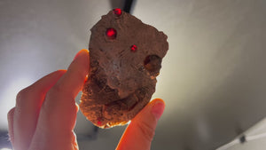 76.22g Garnet in Graphite from USA