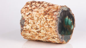 Chrome Rich petrified wood from Zimbabwe