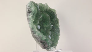 natural Fujian fluorite mineral resembling a dense forest canopy