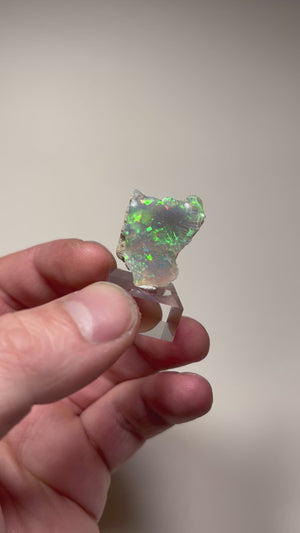 hydrophane opal specimen with matrix and vivid color