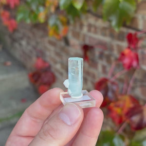 Icy Blue Aquamarine with Broad Hexagonal Termination Shigar Mine Pakistan 8.37 Grams