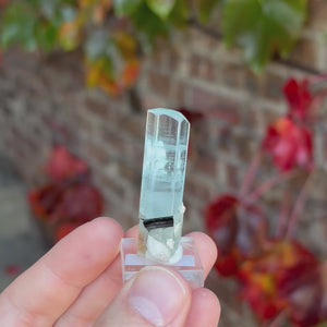 Aquamarine Crystal with Black Tourmaline Inclusion Shigar Mine Pakistan 13.71 Grams