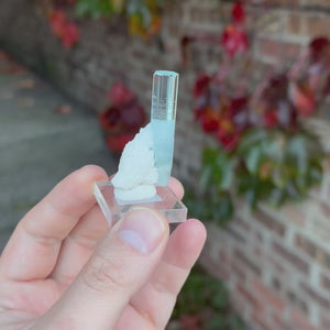 Gemmy Icy Blue Aquamarine Crystal with White Matrix Shigar Mine Pakistan 16.25 Grams