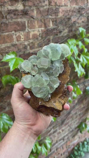large mint green fluorite collector display specimen