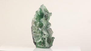 Deep Green Gemmy Fluorite Crystal 558g – China