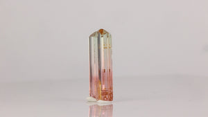 Tourmaline Pair for Earrings