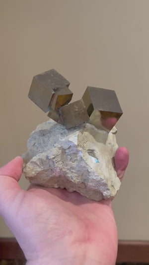 Pyrite Cubes on Limestone Matrix