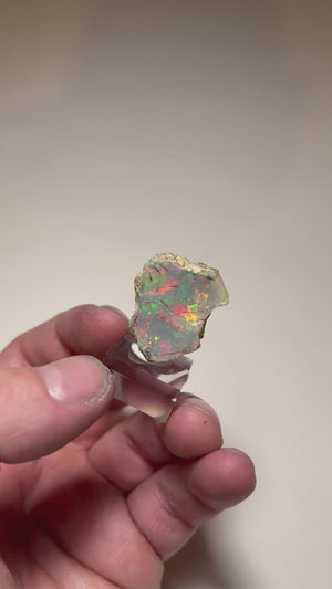 Ethiopian Opal Specimen with Root Like Inclusions – 5.82g