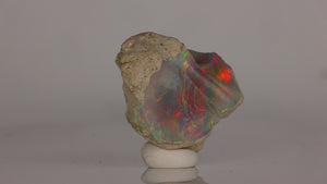 hydrophane opal with bright multicolor flashes