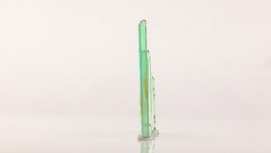 congo green tourmaline crystals collector set multiple sizes display