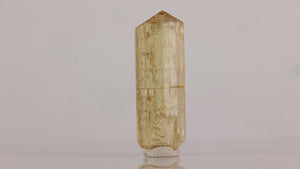 Tectosilicate scapolite crystal with strong structure and collector presence