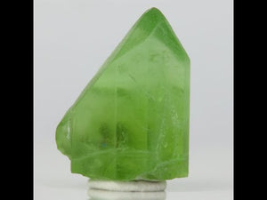 22.5ct Gemmy Peridot Crystal with Nice Termination